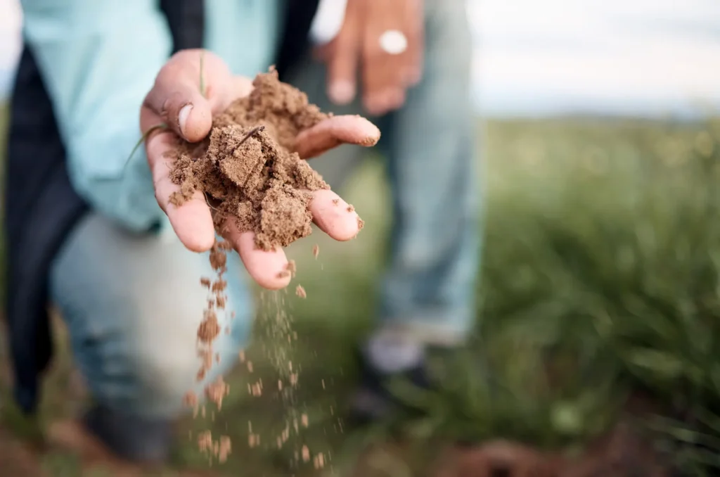 farmer hands or checking soil in farming field a 2025 04 06 04 55 53 utc